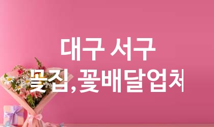 대구 서구 꽃집,꽃배달 업체 추천 5