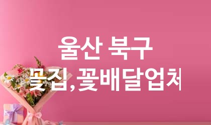 울산 북구 꽃집,꽃배달 업체 추천 5