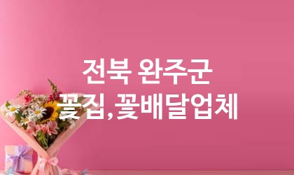 전북 완주군 꽃집,꽃배달 추천 TOP 5