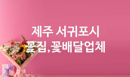 제주 서귀포시 꽃집,꽃배달 업체 추천 5