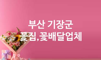 부산 기장군 꽃집,꽃배달 추천 TOP 5