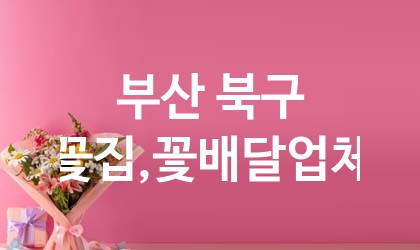 부산 북구 꽃집,꽃배달 추천 TOP 5