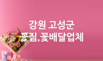 강원 고성군 꽃집,꽃배달 추천 TOP 2