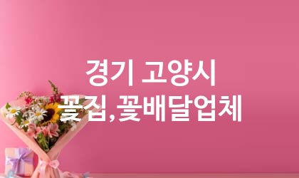 경기 고양시 꽃집,꽃배달 추천 TOP 5