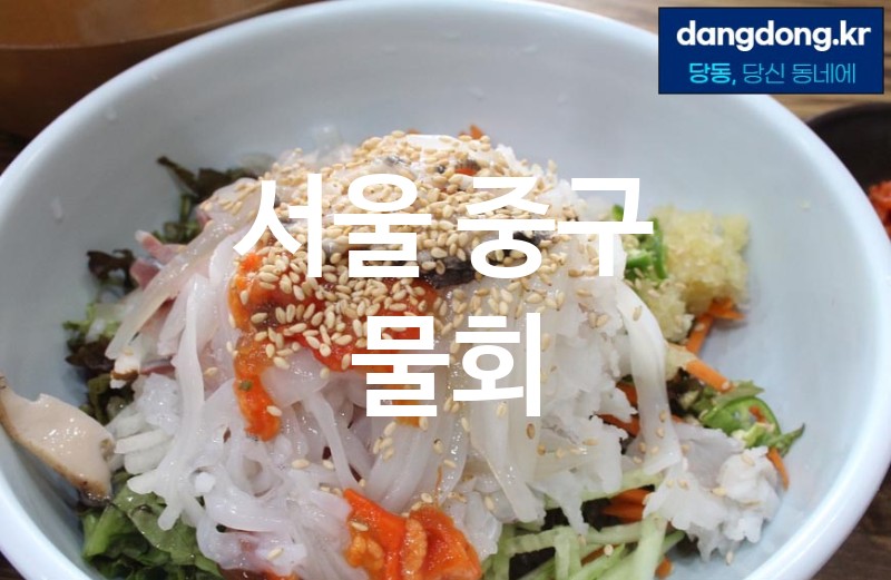 서울 중구 물회 최고 친절 리뷰업체 엄선 5