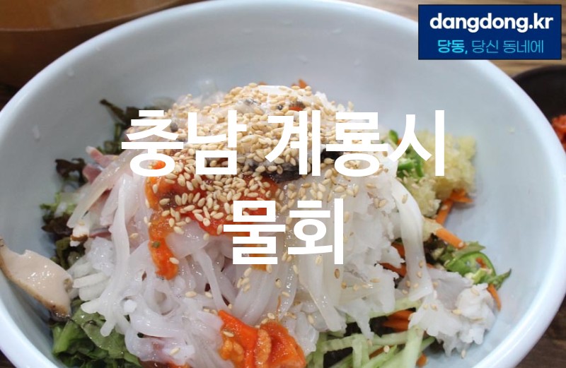 충남 계룡시 물회 최고 친절 리뷰업체 엄선 2