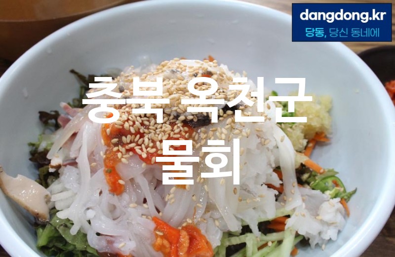 충북 옥천군 물회 가장 전문업체 베스트추천 1
