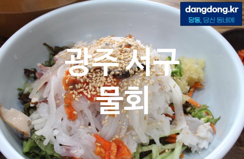 광주 서구 물회 가장 전문업체 베스트추천 3