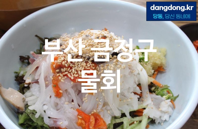 부산 금정구 물회 최고 친절 리뷰업체 엄선 5