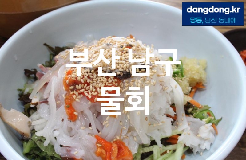 부산 남구 물회 가장 전문업체 베스트추천 5