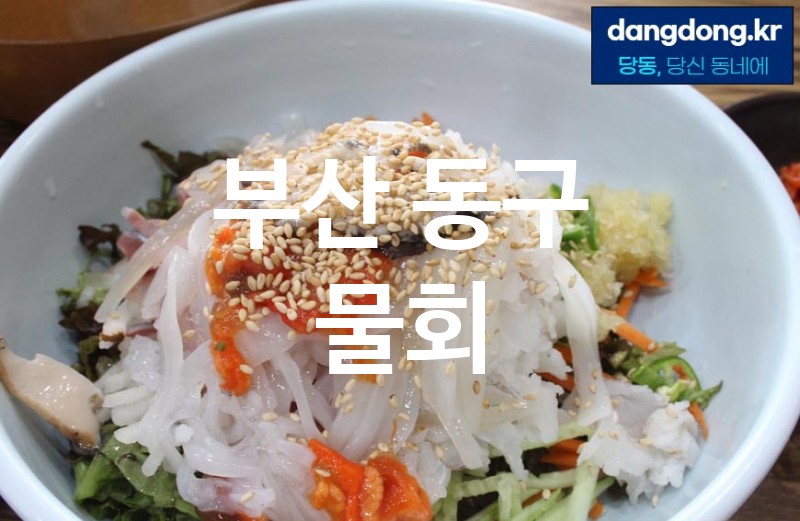 부산 동구 물회 가장 전문업체 베스트추천 4