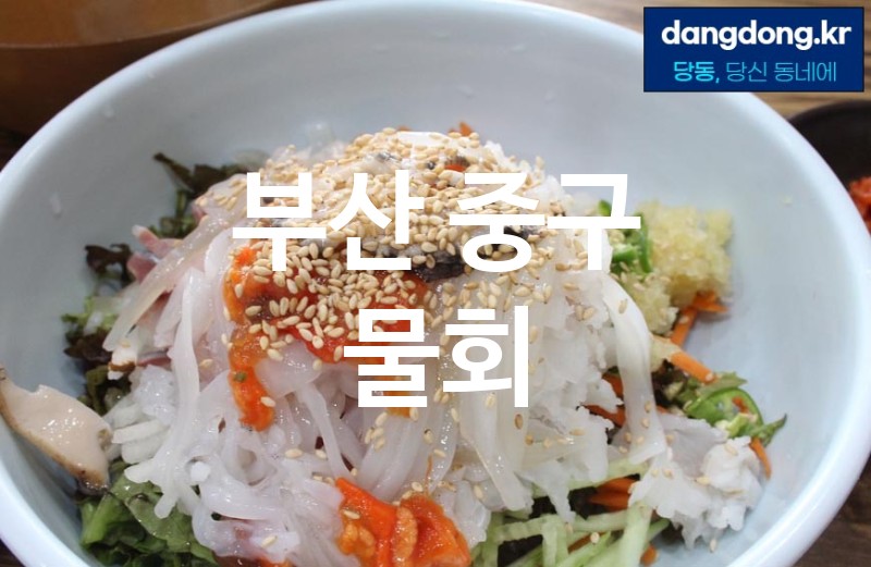 부산 중구 물회 최고 친절 리뷰업체 엄선 5