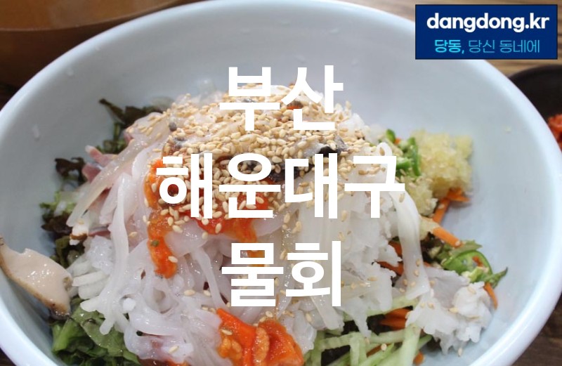 부산 해운대구 물회 가장 전문업체 베스트추천 5