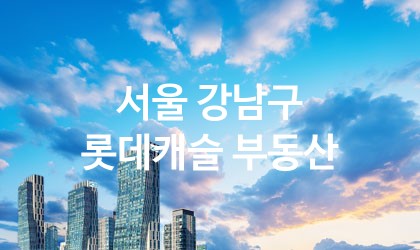 서울 강남구 롯데캐슬 부동산 최고 친절 리뷰업체 엄선 5
