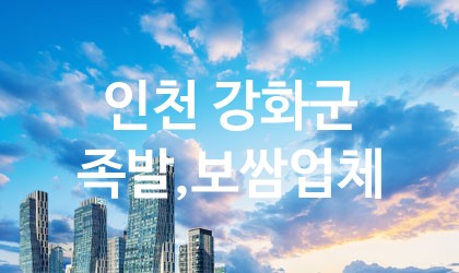 인천 강화군 족발,보쌈 추천 TOP 4