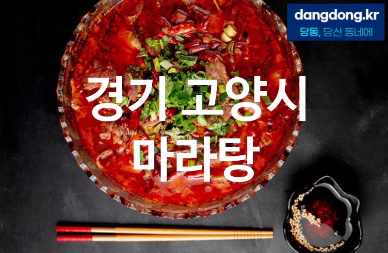 경기 고양시 마라탕 최고 친절 리뷰업체 엄선 5