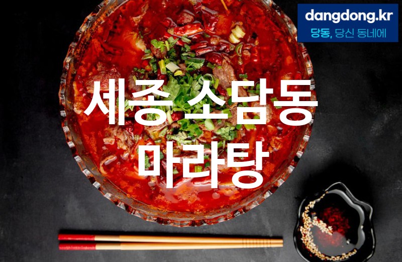 세종 소담동 마라탕 최고 친절 리뷰업체 엄선 2