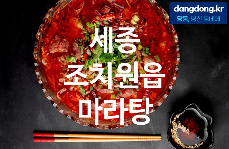 세종 조치원읍 마라탕 최고 친절 리뷰업체 엄선 1