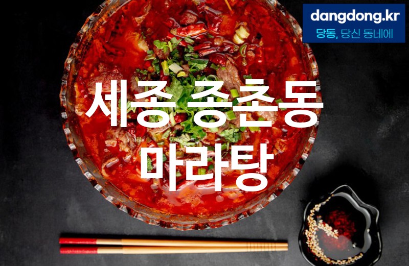세종 종촌동 마라탕 최고 친절 리뷰업체 엄선 4