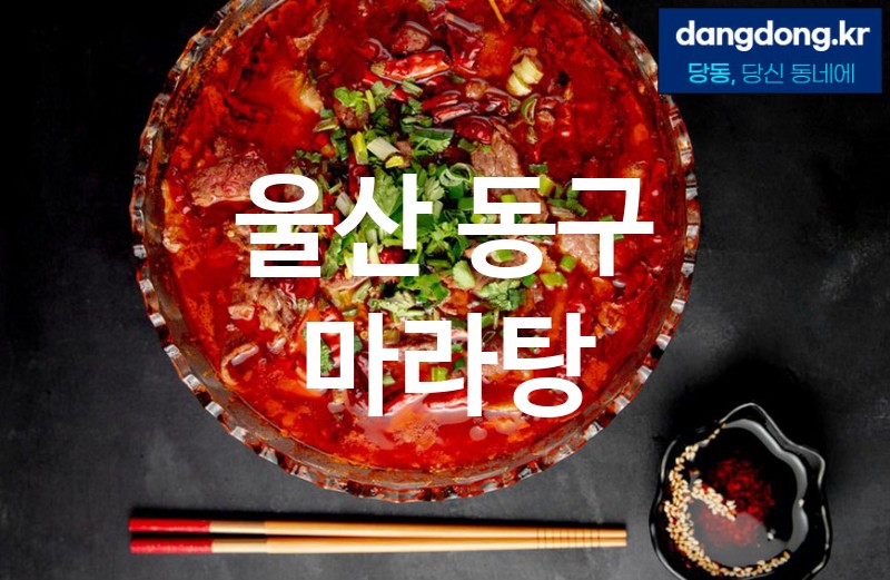 울산 동구 마라탕 최고 친절 리뷰업체 엄선 5