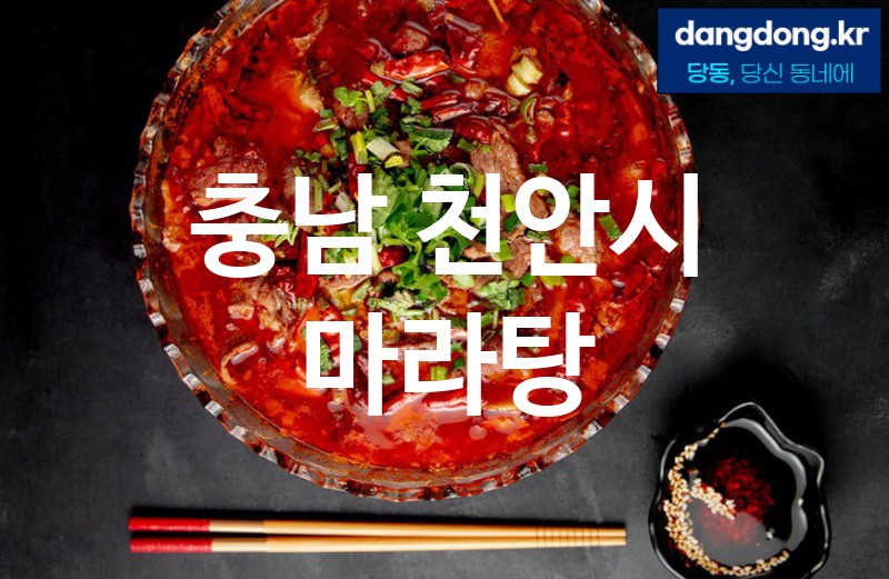 충남 천안시 마라탕 가장 전문업체 베스트추천 5