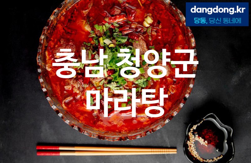 충남 청양군 마라탕 최고 친절 리뷰업체 엄선 2