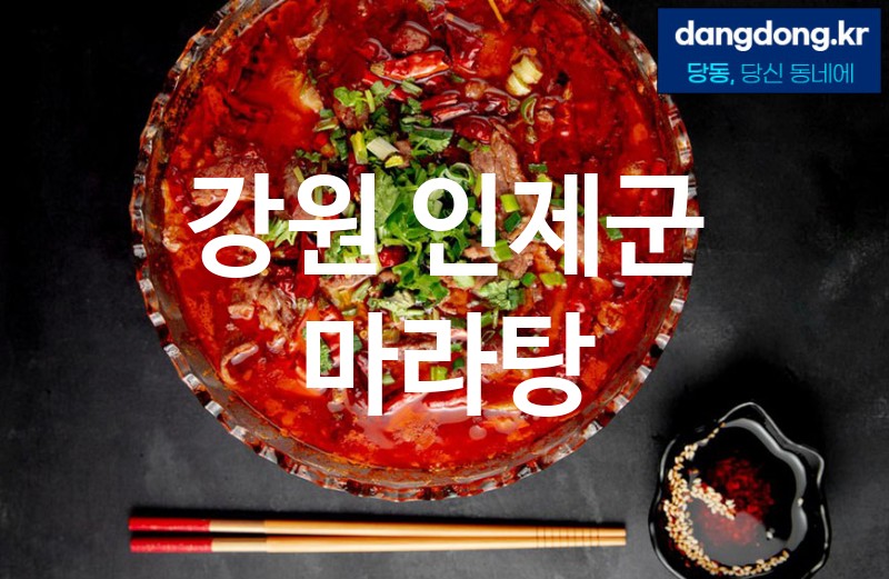 강원 인제군 마라탕 가장 전문업체 베스트추천 2