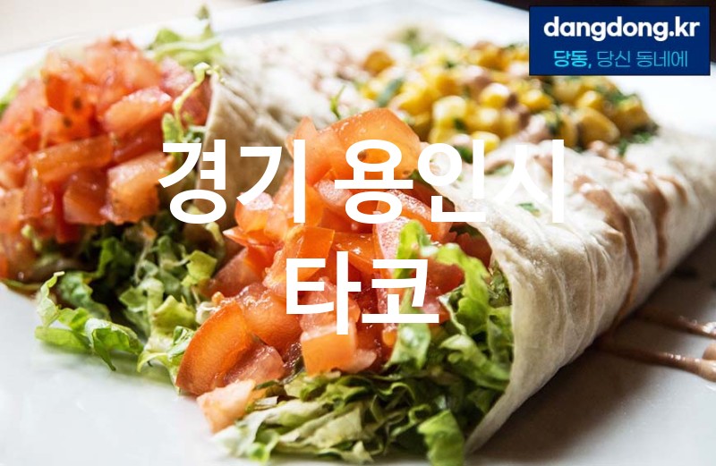 경기 용인시 타코 가장 전문업체 베스트추천 5