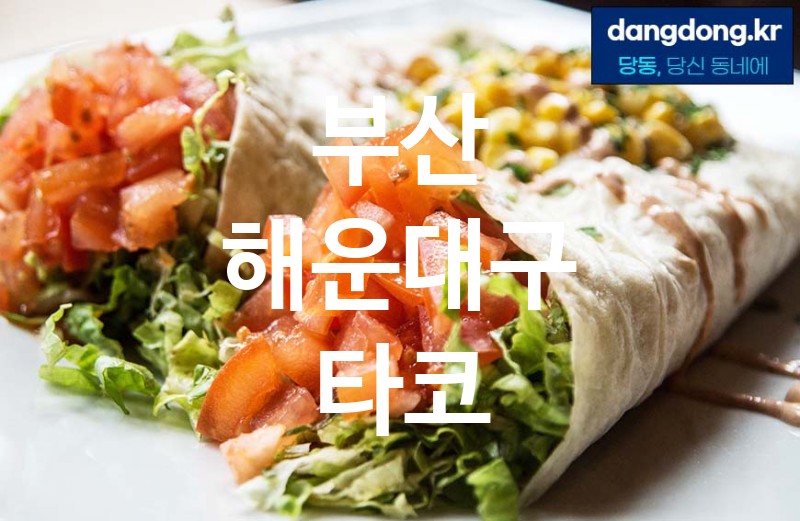 부산 해운대구 타코 최고 친절 리뷰업체 엄선 5
