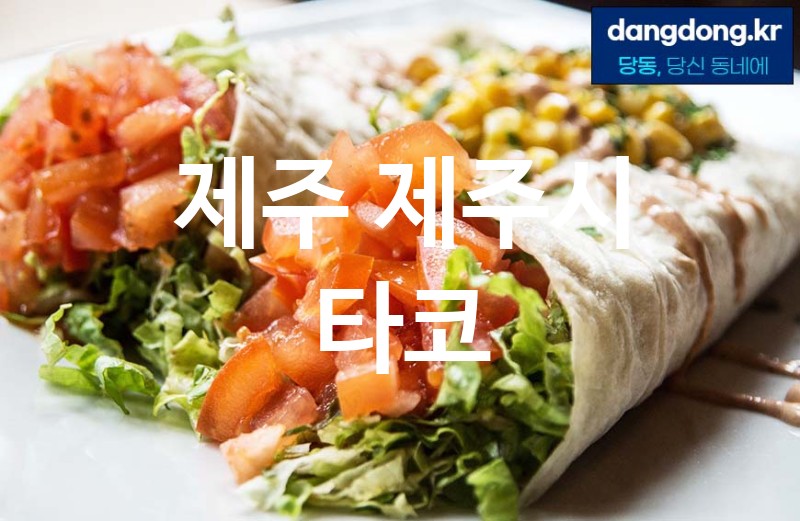 제주 제주시 타코 가장 전문업체 베스트추천 3
