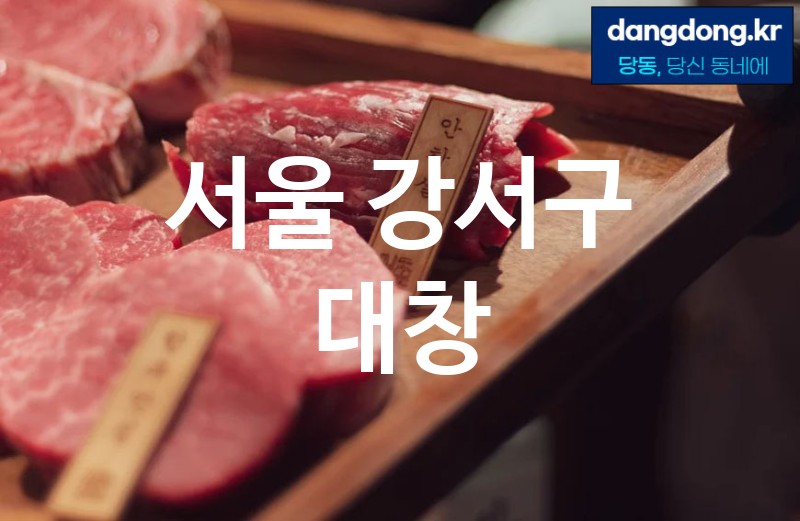 서울 강서구 대창 가장 전문업체 베스트추천 5