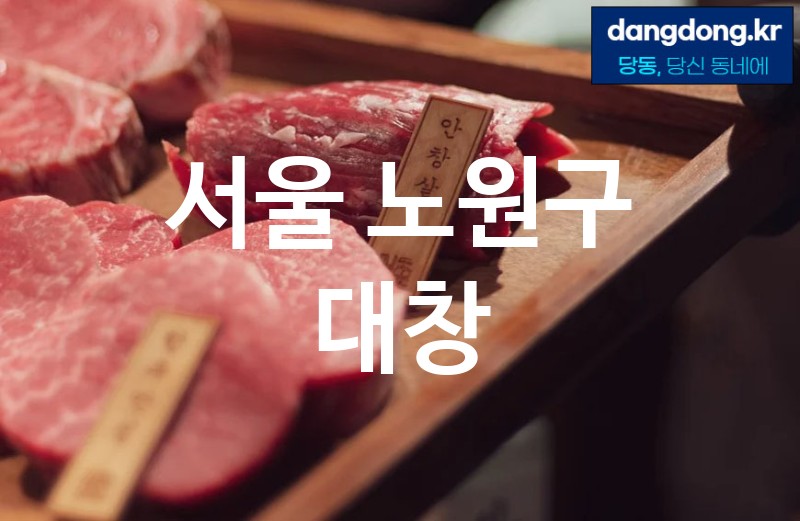 서울 노원구 대창 최고 친절 리뷰업체 엄선 5
