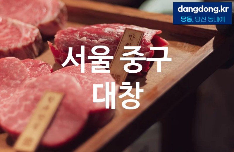 서울 중구 대창 최고 친절 리뷰업체 엄선 5