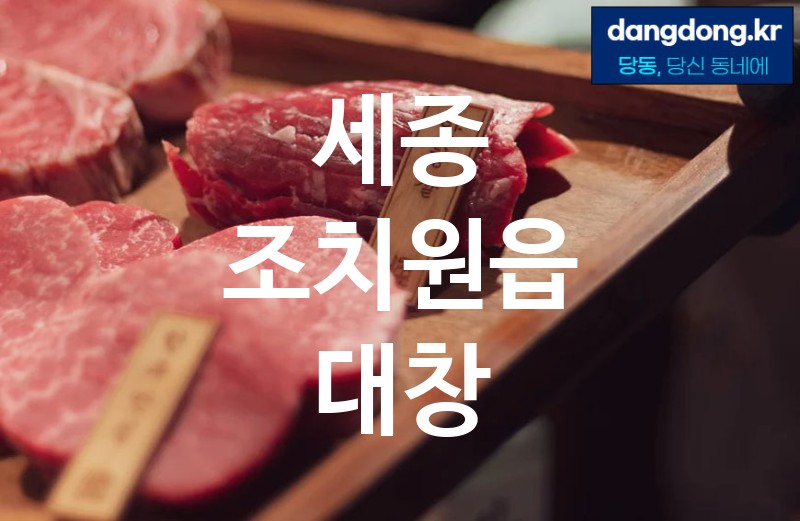 세종 조치원읍 대창 가장 전문업체 베스트추천 2