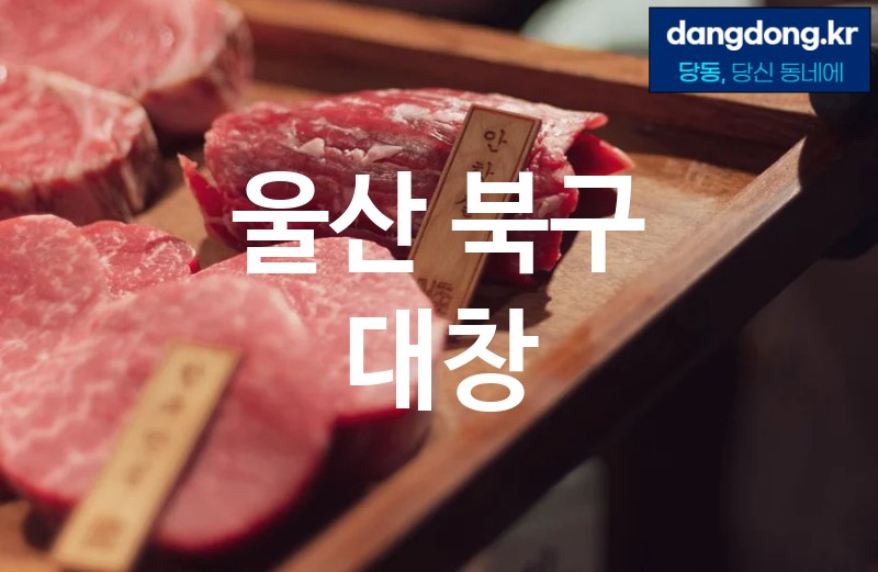 울산 북구 대창 가장 전문업체 베스트추천 2