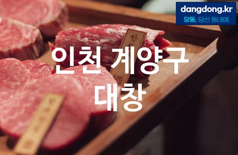 인천 계양구 대창 가장 전문업체 베스트추천 5