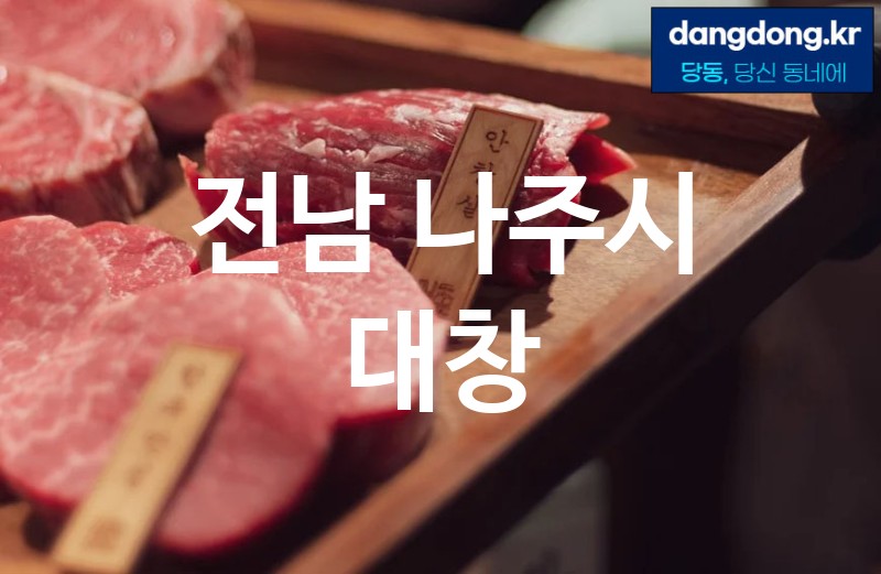 전남 나주시 대창 가장 전문업체 베스트추천 5