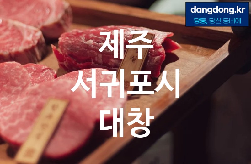 제주 서귀포시 대창 최고 친절 리뷰업체 엄선 5