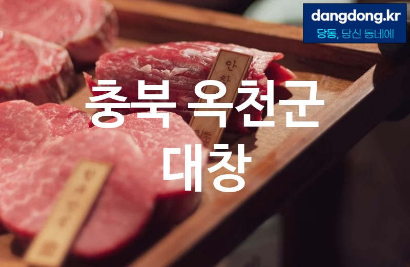 충북 옥천군 대창 최고 친절 리뷰업체 엄선 1
