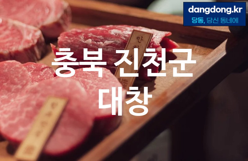 충북 진천군 대창 가장 전문업체 베스트추천 2