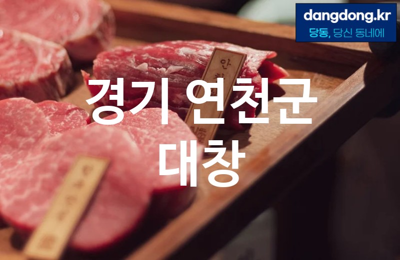 경기 연천군 대창 가장 전문업체 베스트추천 2
