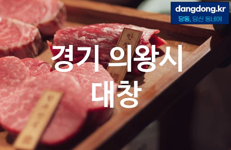 경기 의왕시 대창 최고 친절 리뷰업체 엄선 5