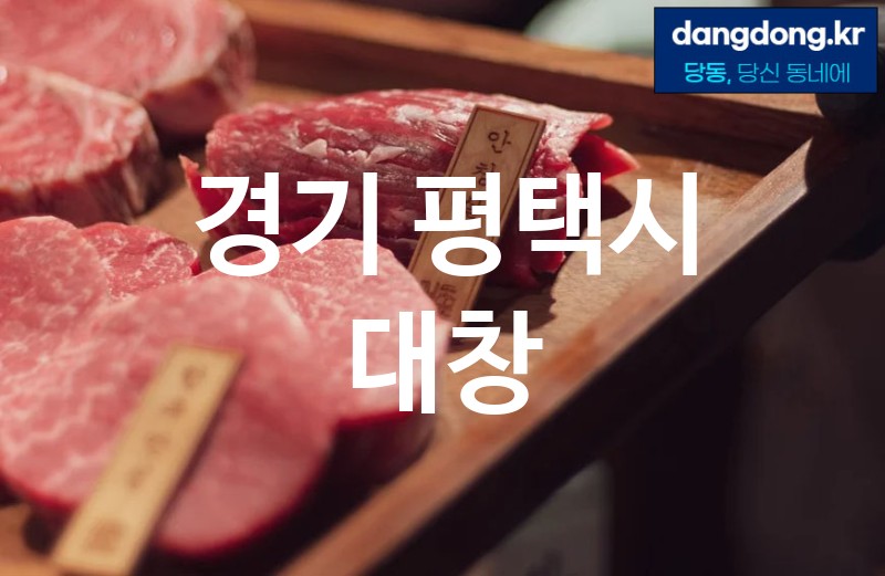 경기 평택시 대창 최고 친절 리뷰업체 엄선 5