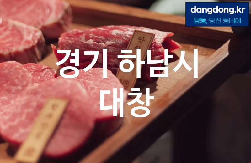 경기 하남시 대창 최고 친절 리뷰업체 엄선 5