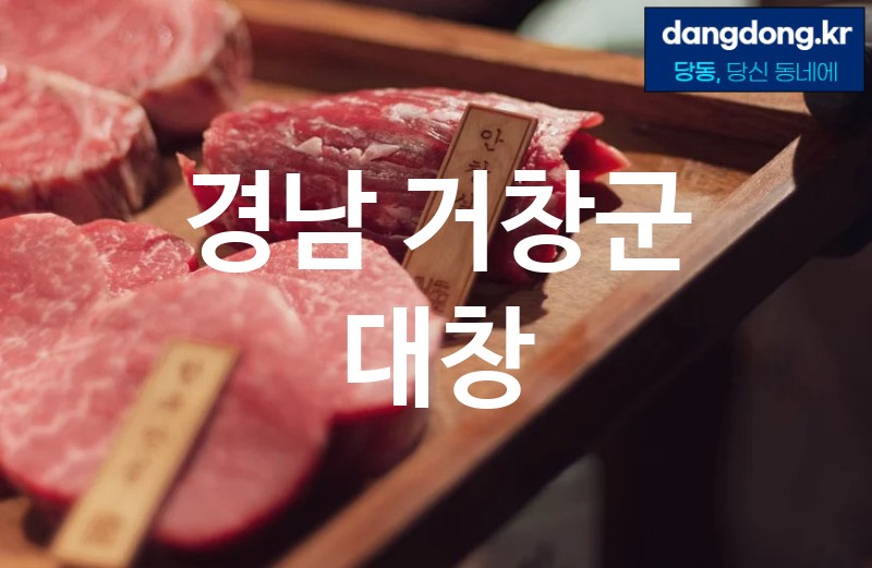 경남 거창군 대창 가장 전문업체 베스트추천 1