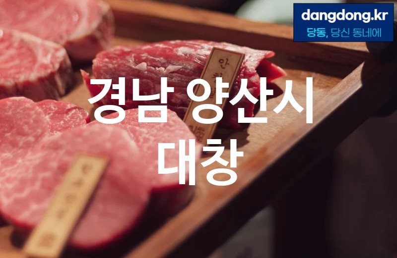 경남 양산시 대창 가장 전문업체 베스트추천 5