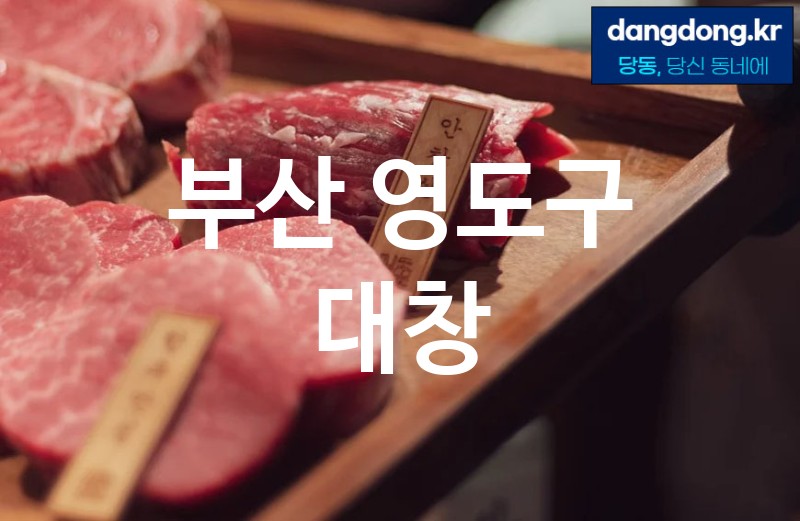 부산 영도구 대창 최고 친절 리뷰업체 엄선 5