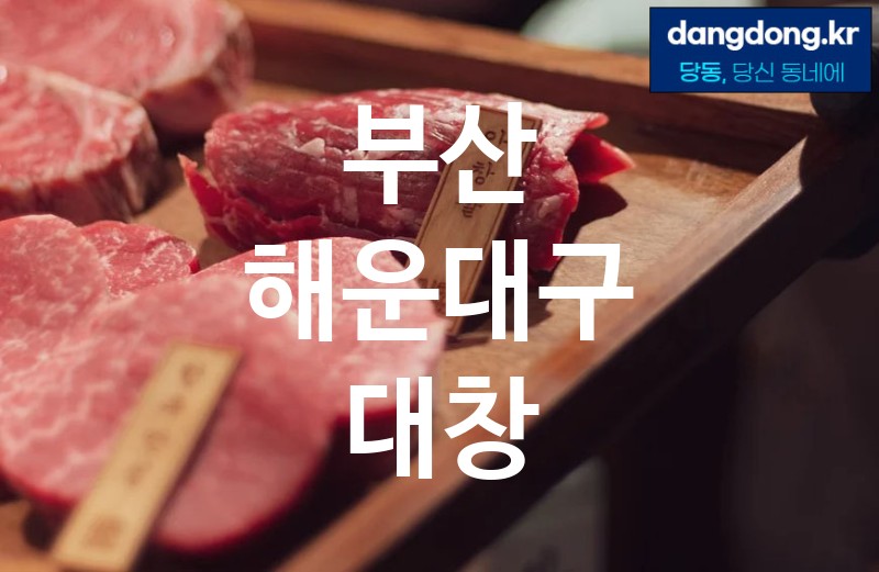 부산 해운대구 대창 최고 친절 리뷰업체 엄선 5