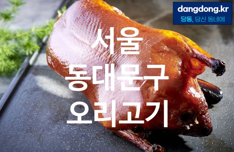 서울 동대문구 오리고기 최고 친절 리뷰업체 엄선 5