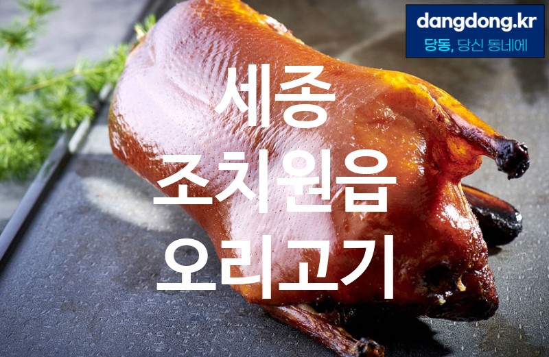 세종 조치원읍 오리고기 최고 친절 리뷰업체 엄선 1
